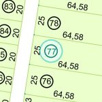 Land kaufen Paraguay Bau Grundstueck--nr-1614-53275qm Detail Lage