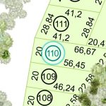 Land kaufen Paraguay Bau Grundstueck--nr-1231-40630qm Detail Lage