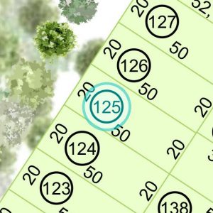 Land kaufen Paraguay Bau Grundstueck--nr-1000-33000qm Detail Lage