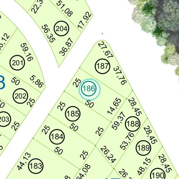 Land kaufen Paraguay Bau Grundstueck-17-nr-186-1250qm Nachbarschaft Land kaufen Paraguay Bau Grundstueck--nr-1250-41250qm Nachbarschaft