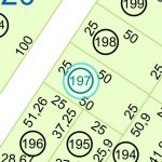 Land kaufen Paraguay Bau Grundstueck--nr-1250-41250qm Detail Lage