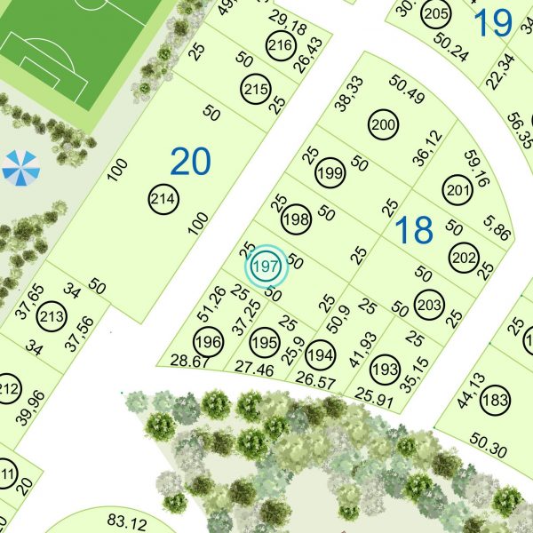 Land kaufen Paraguay Bau Grundstueck--nr-1250-41250qm-Umgebung