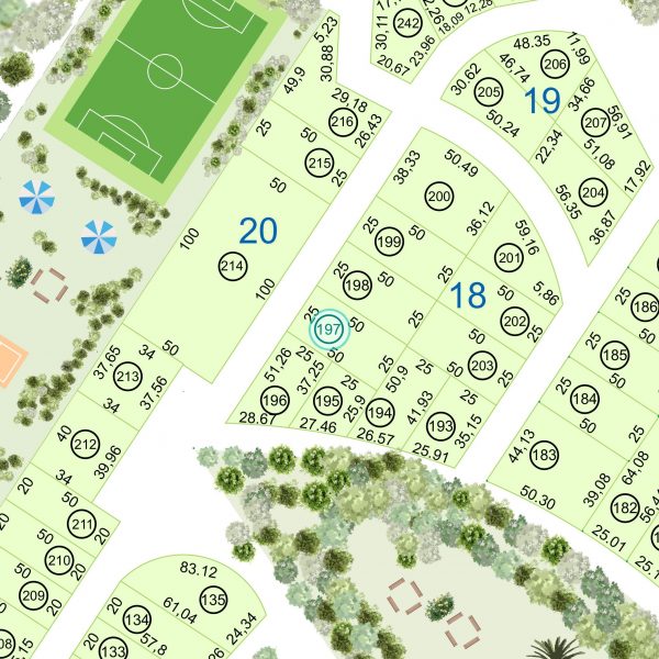 Land kaufen Paraguay Bau Grundstueck--nr-1250-41250qm-Komplett-Ansicht