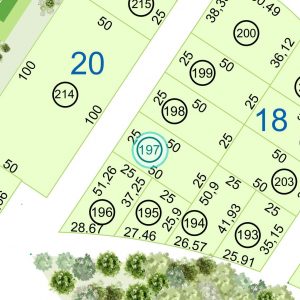 Land kaufen Paraguay Bau Grundstueck--nr-1250-41250qm Nachbarschaft