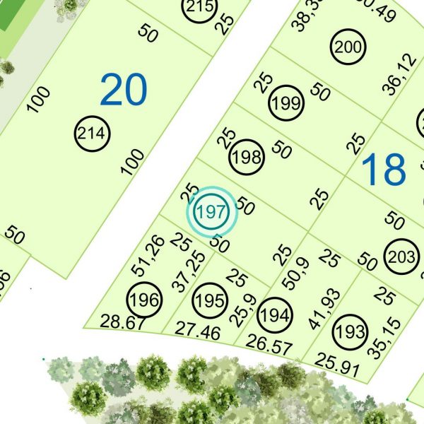 Land kaufen Paraguay Bau Grundstueck--nr-1250-41250qm Nachbarschaft