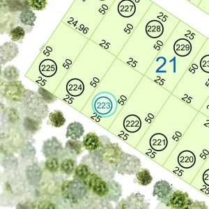 Land kaufen Paraguay Bau Grundstueck--nr-1250-41250qm Nachbarschaft