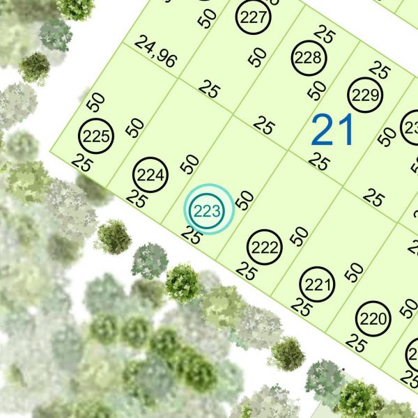 Land kaufen Paraguay Bau Grundstueck-21-nr-223-1250qm Nachbarschaft Land kaufen Paraguay Bau Grundstueck--nr-1250-41250qm Nachbarschaft