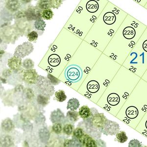 Land kaufen Paraguay Bau Grundstueck--nr-1250-41250qm Nachbarschaft