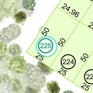 Land kaufen Paraguay Bau Grundstueck--nr-1249-41214qm Detail Lage