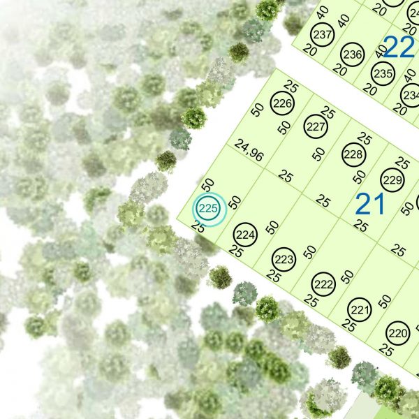 Land kaufen Paraguay Bau Grundstueck-21-nr-225-1249qm-Makro Land kaufen Paraguay Bau Grundstueck--nr-1249-41214qm-Umgebung