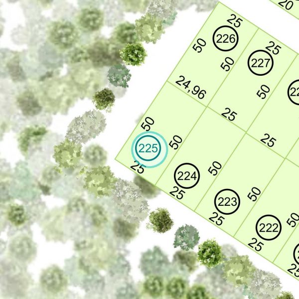 Land kaufen Paraguay Bau Grundstueck-21-nr-225-1249qm Nachbarschaft Land kaufen Paraguay Bau Grundstueck--nr-1249-41214qm Nachbarschaft