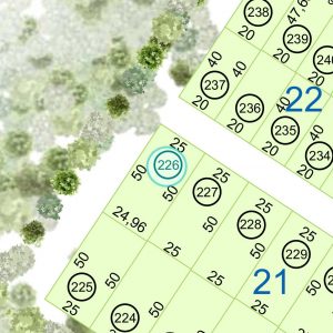 Land kaufen Paraguay Bau Grundstueck--nr-1247-41141qm Nachbarschaft