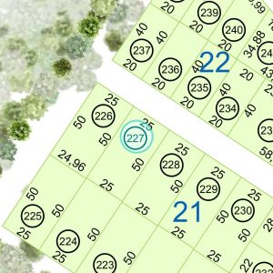 Land kaufen Paraguay Bau Grundstueck--nr-1250-41250qm Nachbarschaft