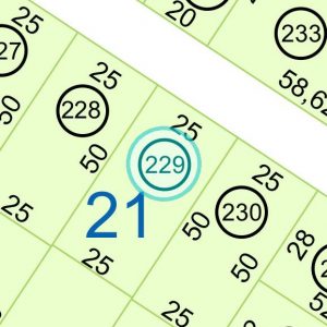 Land kaufen Paraguay Bau Grundstueck--nr-1250-41250qm Detail Lage