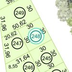 Land kaufen Paraguay Bau Grundstueck--nr-900-29700qm Detail Lage