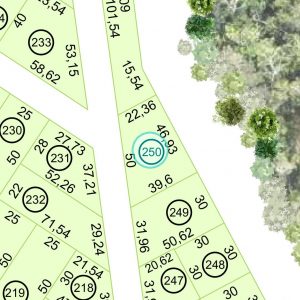 Land kaufen Paraguay Bau Grundstueck--nr-1454-47985qm Nachbarschaft