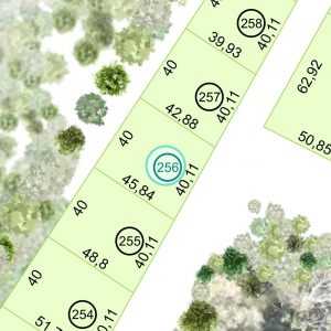 Land kaufen Paraguay Bau Grundstueck--nr-1775-58561qm Nachbarschaft