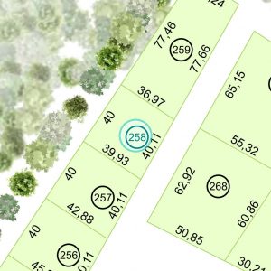 Land kaufen Paraguay Bau Grundstueck--nr-1538-50749qm Nachbarschaft