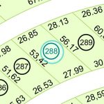 Land kaufen Paraguay Bau Grundstueck--nr-1368-45129qm Detail Lage