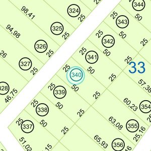 Land kaufen Paraguay Bau Grundstueck--nr-1250-41250qm Nachbarschaft