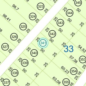 Land kaufen Paraguay Bau Grundstueck--nr-1250-41250qm Nachbarschaft