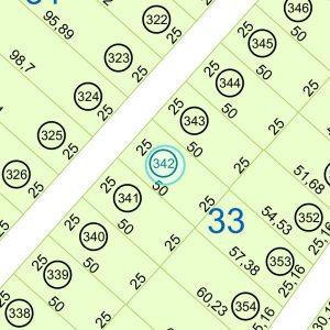 Land kaufen Paraguay Bau Grundstueck--nr-1250-41250qm Nachbarschaft