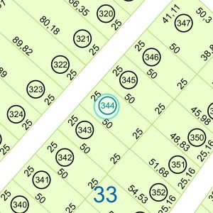 Land kaufen Paraguay Bau Grundstueck--nr-1250-41250qm Nachbarschaft