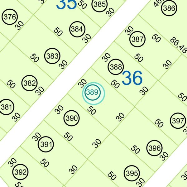 Land kaufen Paraguay Bau Grundstueck--nr-1500-49500qm Nachbarschaft