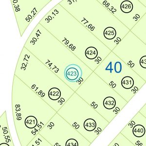 Land kaufen Paraguay Bau Grundstueck--nr-2334-77022qm Nachbarschaft