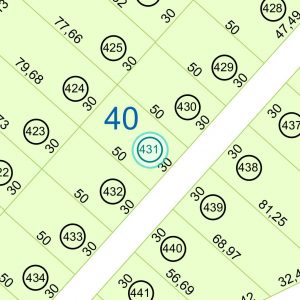 Land kaufen Paraguay Bau Grundstueck--nr-1500-49500qm Nachbarschaft