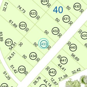 Land kaufen Paraguay Bau Grundstueck--nr-1500-49500qm Nachbarschaft