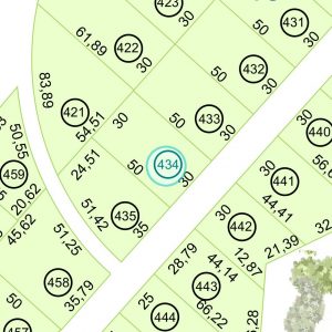 Land kaufen Paraguay Bau Grundstueck--nr-1500-49500qm Nachbarschaft