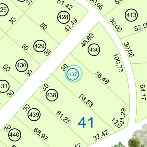 Land kaufen Paraguay Bau Grundstueck--nr-2828-93319qm Nachbarschaft