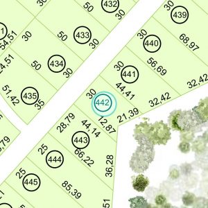 Land kaufen Paraguay Bau Grundstueck--nr-1209-39908qm Nachbarschaft