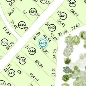 Land kaufen Paraguay Bau Grundstueck--nr-1588-52415qm Nachbarschaft