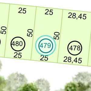 Land kaufen Paraguay Bau Grundstueck--nr-1250-41250qm Detail Lage