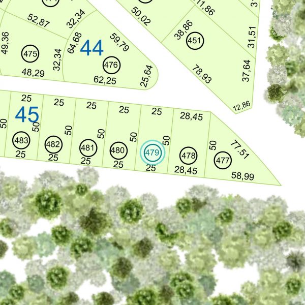 Land kaufen Paraguay Bau Grundstueck-45-nr-479-1250qm-Makro Land kaufen Paraguay Bau Grundstueck--nr-1250-41250qm-Umgebung