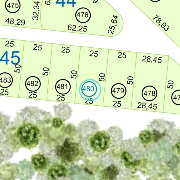 Land kaufen Paraguay Bau Grundstueck-45-nr-480-1250qm Nachbarschaft Land kaufen Paraguay Bau Grundstueck--nr-1250-41250qm Nachbarschaft