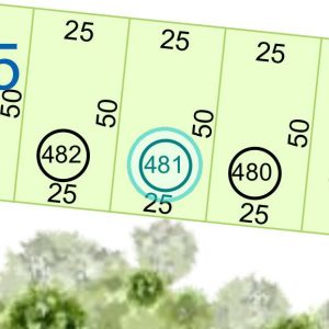 Land kaufen Paraguay Bau Grundstueck--nr-1250-41250qm Detail Lage