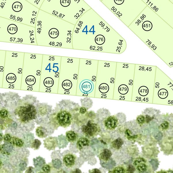 Land kaufen Paraguay Bau Grundstueck-45-nr-481-1250qm-Makro Land kaufen Paraguay Bau Grundstueck--nr-1250-41250qm-Umgebung