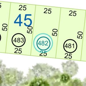 Land kaufen Paraguay Bau Grundstueck--nr-1250-41250qm Detail Lage