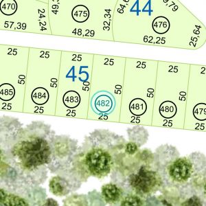 Land kaufen Paraguay Bau Grundstueck--nr-1250-41250qm Nachbarschaft