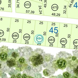 Land kaufen Paraguay Bau Grundstueck--nr-1250-41250qm Nachbarschaft