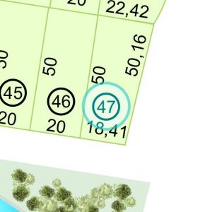 Land kaufen Paraguay Bau Grundstueck--nr-1021-33692qm Detail Lage