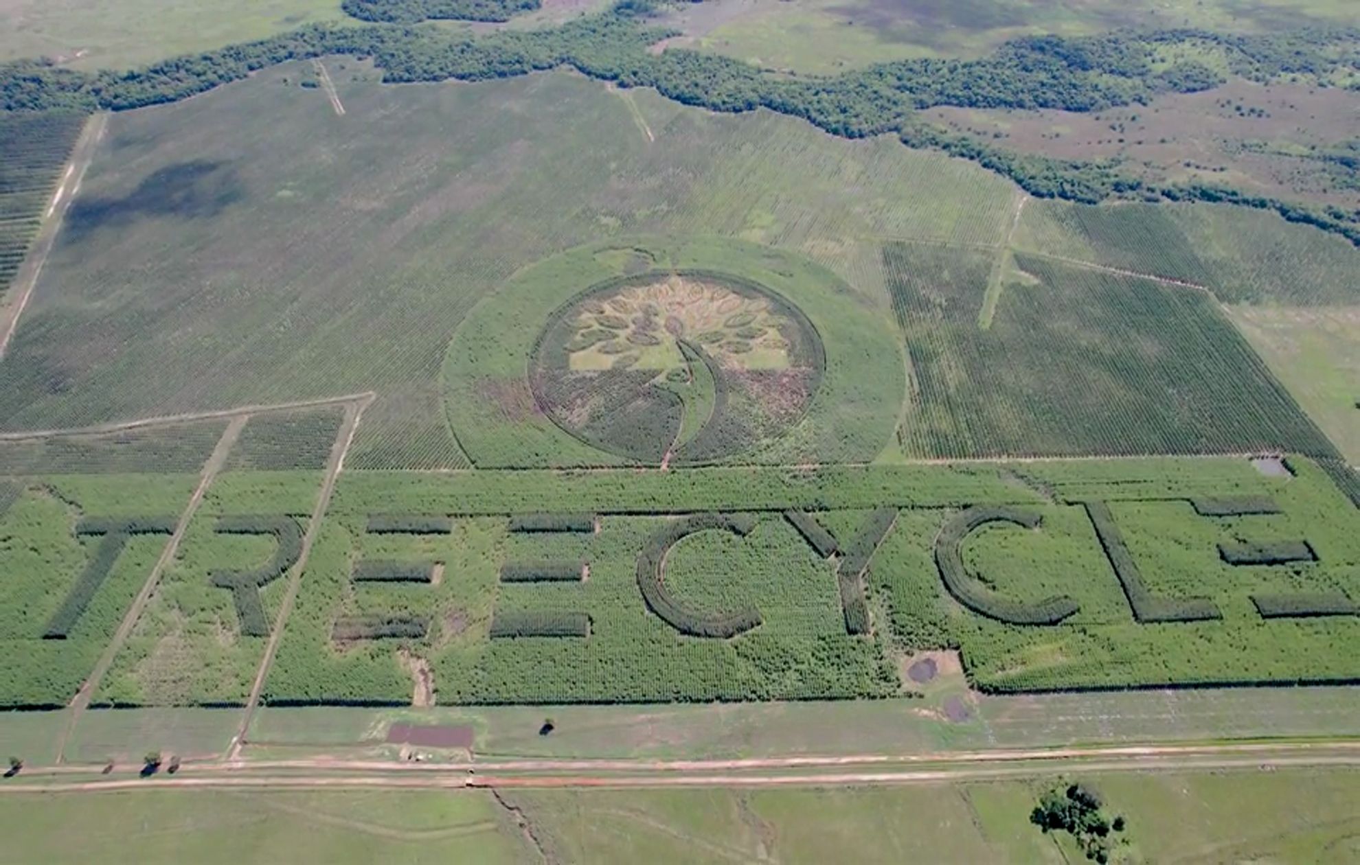 Treecycle - Guinessrekord - größtes Naturlogo der Welt