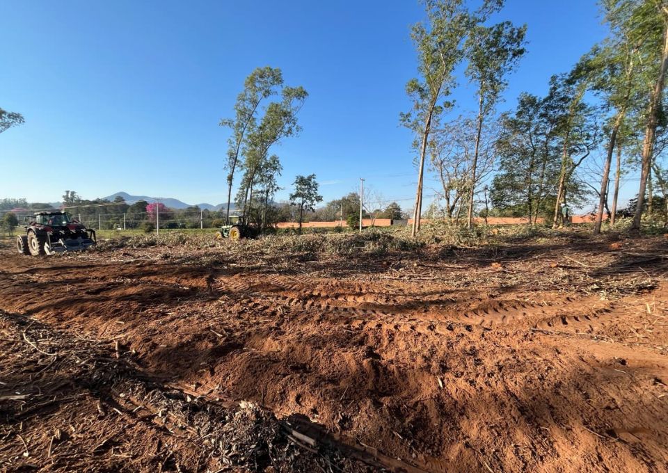 viva-paraguay-flaechenreinigung-forstfraese-massey-ferguson