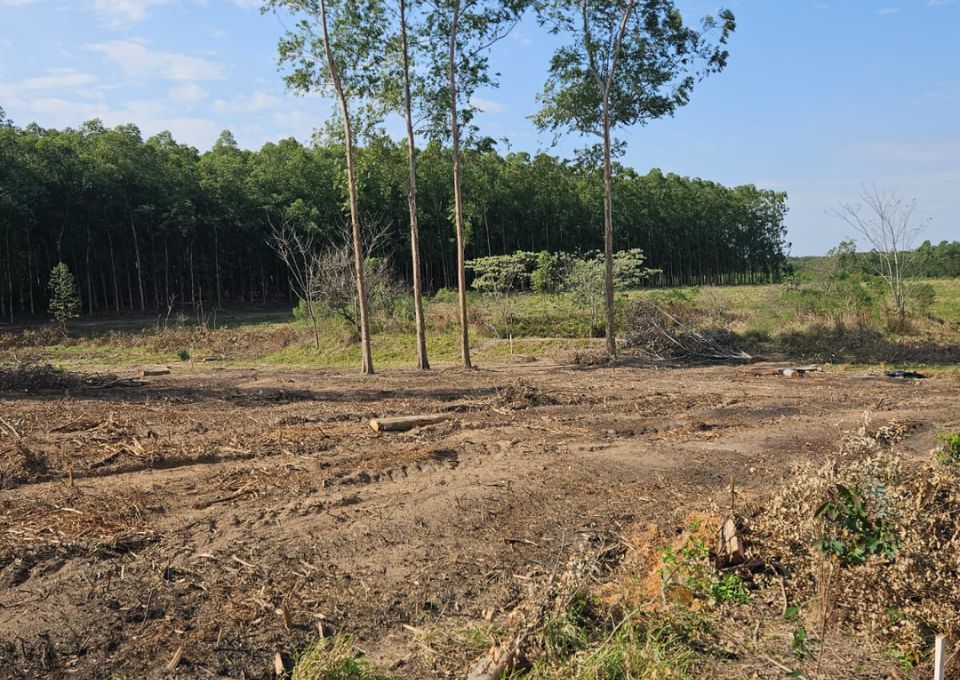 viva-paraguay-infrastruktur-vorbereitung-flaeche